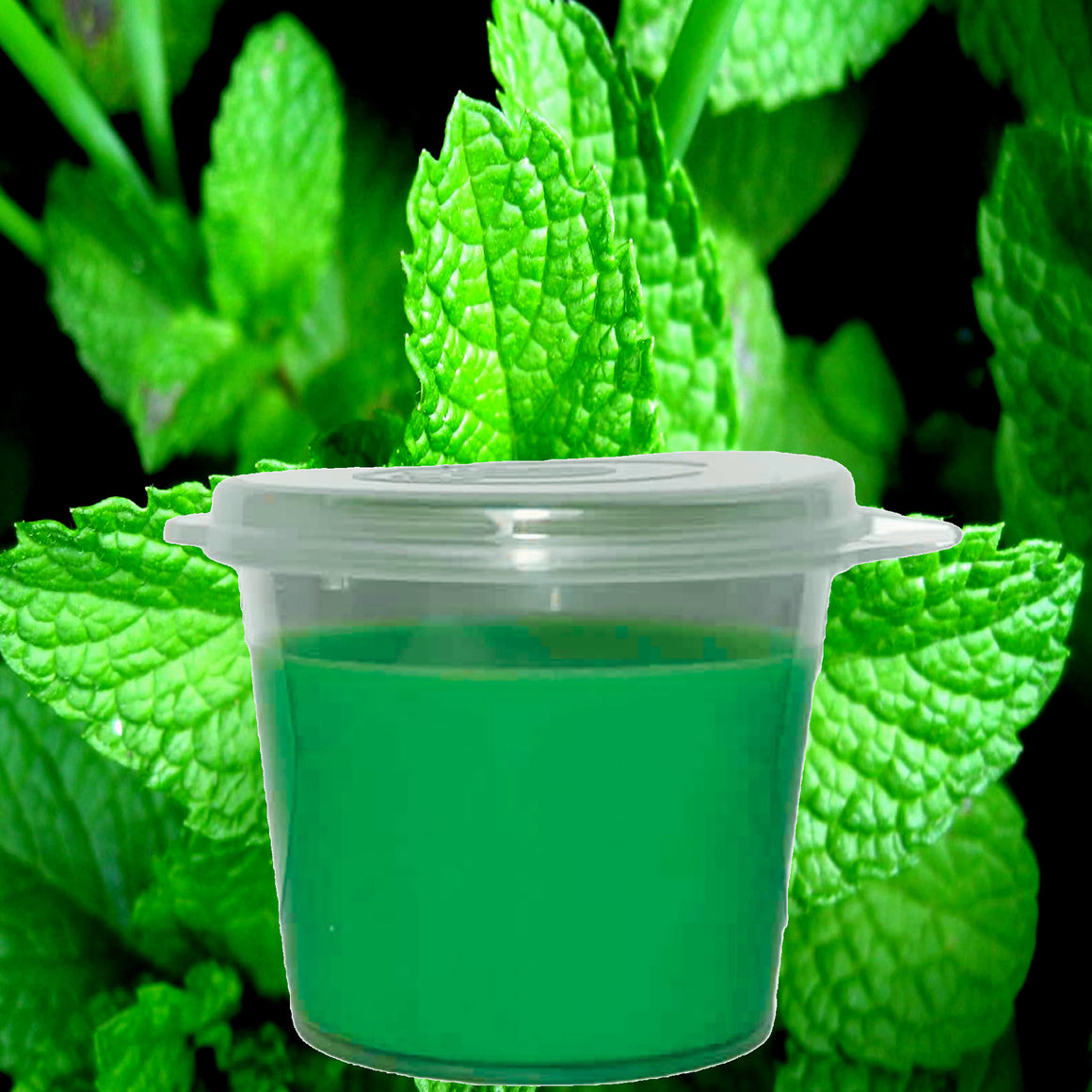 Fresh Peppermint eco soy wax melts – vegan, cruelty-free featuring cool refreshing peppermint, handmade in Australia.