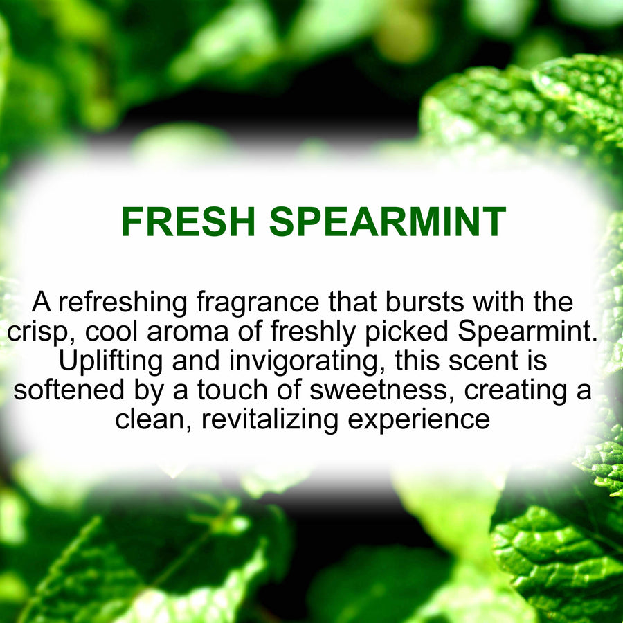 Fresh Spearmint Diffuser Fragrance Oil with Reeds – Vegan Cruelty-Free Home Aroma