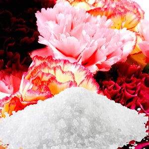 Fresh Carnations Bath Salts/Bath Soak/Bath Crystals