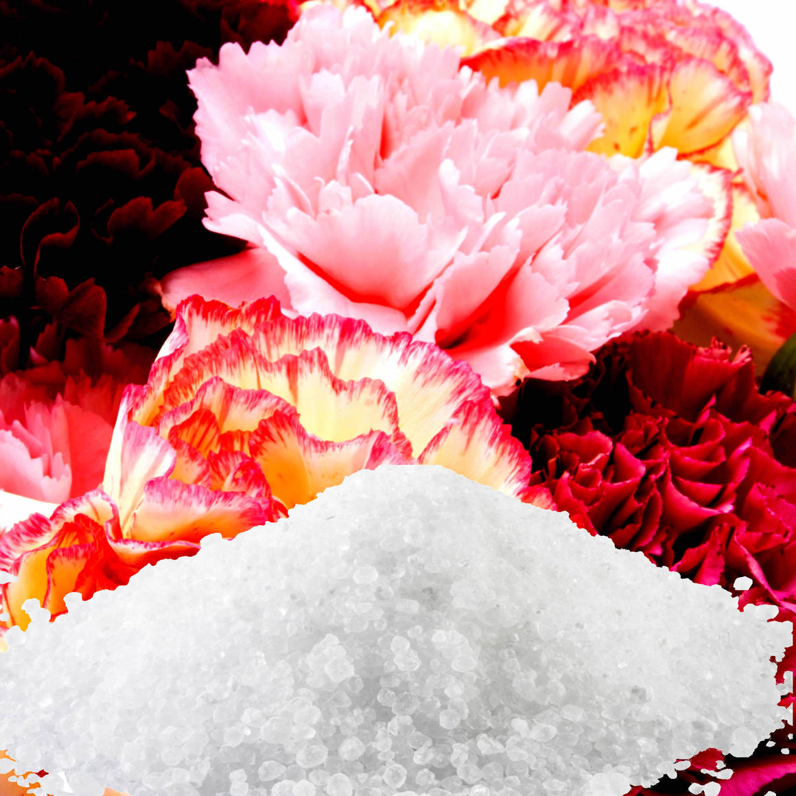 Fresh Carnations Bath Salts/Bath Soak/Bath Crystals