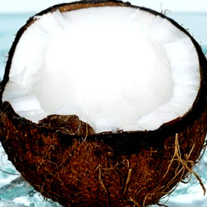 Fresh Coconut Candle Soap Making Fragrance Oil