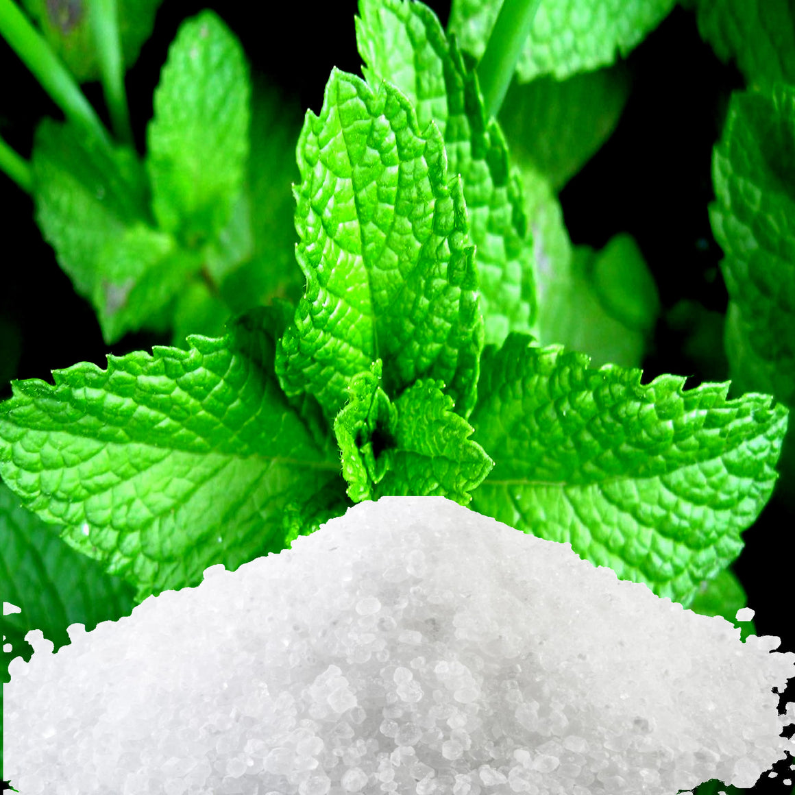 Fresh Peppermint Vegan bath salts and bath soak crystals, cruelty-free and made in Australia. Highly scented, suitable for women and men. Perfect relaxation gift for him or her.