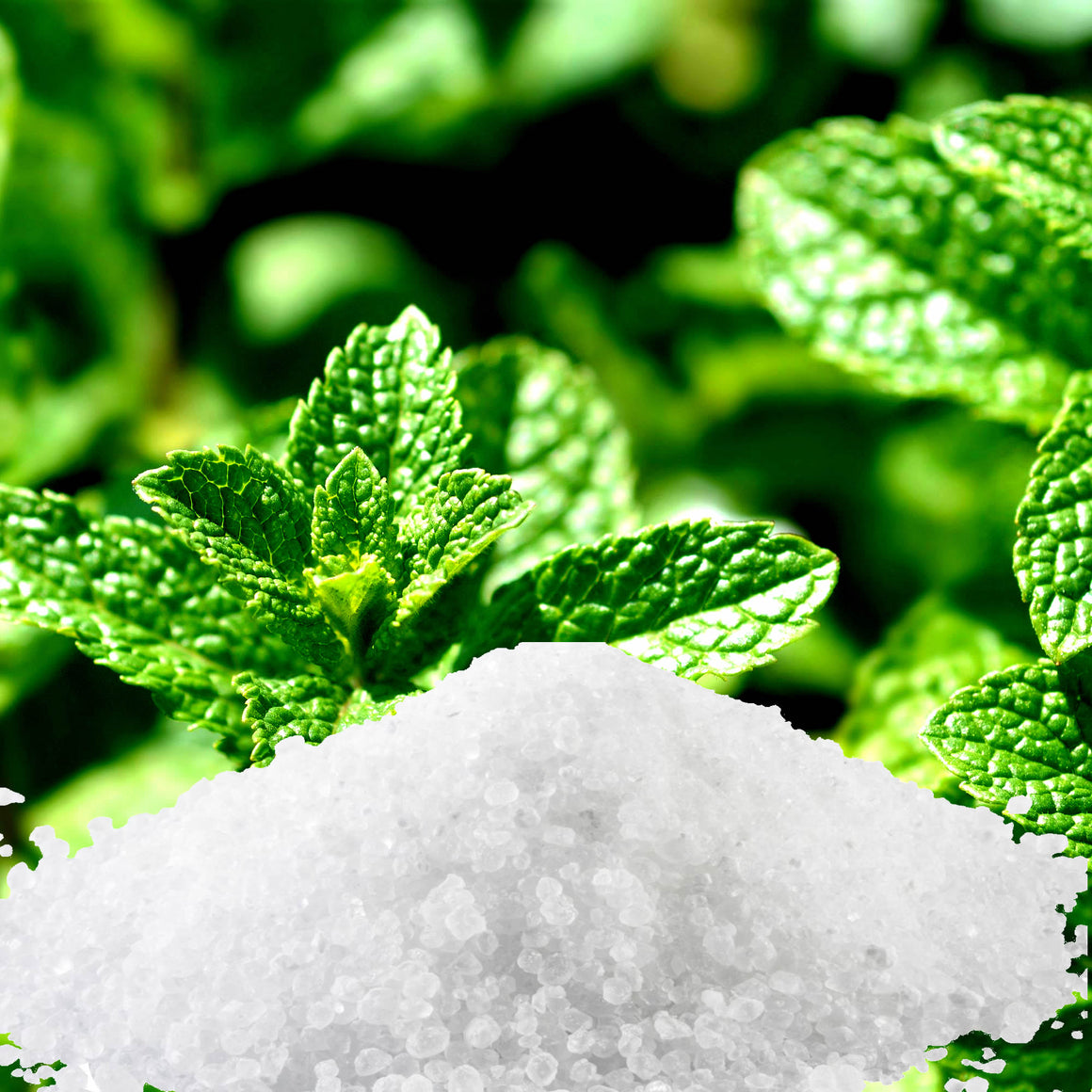 Fresh Spearmint Vegan bath salts and bath soak crystals, cruelty-free and made in Australia. Highly scented, suitable for women and men. Perfect relaxation gift for him or her.