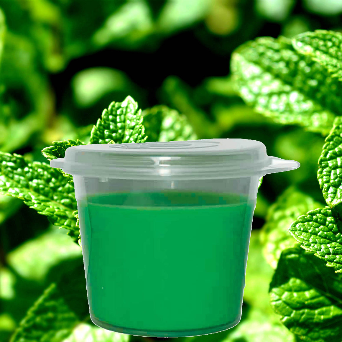 Fresh Spearmint Soy Candle Melt Shot Pots – Plant-Based, Vegan, Cruelty-Free, Hand-Poured