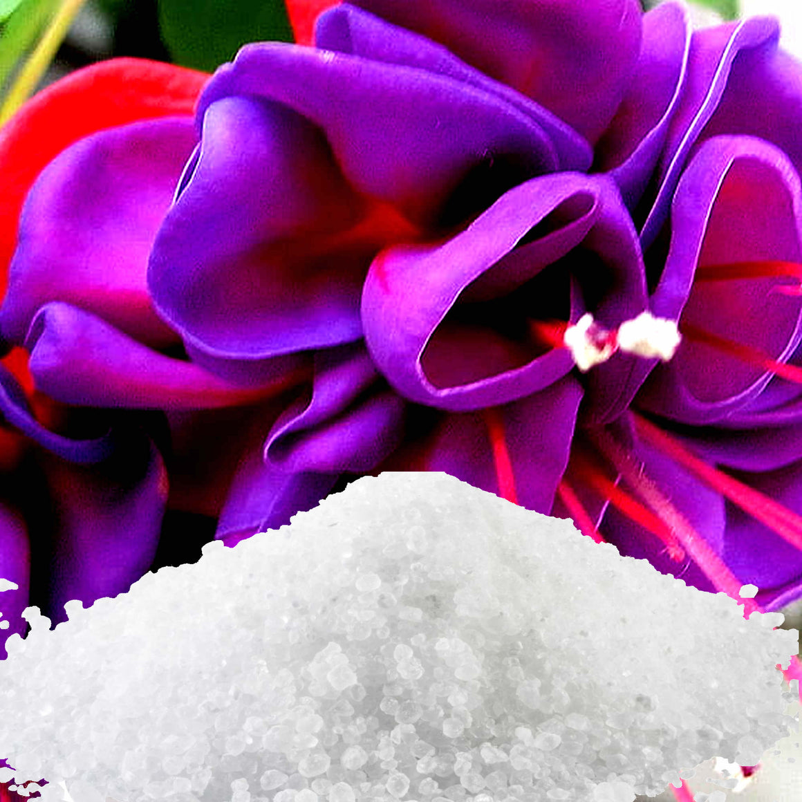 Fuchsia & Honeysuckle Bath Salts/Bath Soak/Bath Crystals