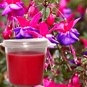 Fuchsia & Honeysuckle Eco Soy Shot Pot Candle Melts