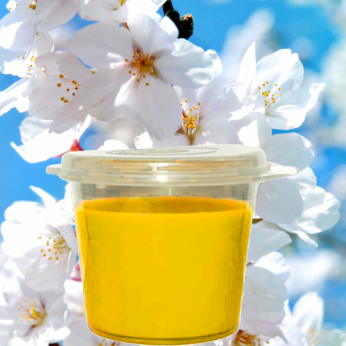 Hawaiian Honey Blossoms eco soy wax melts – vegan, cruelty-free featuring sweet tropical honeyed florals, handmade in Australia.