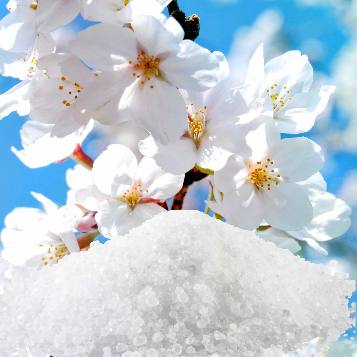 Hawaiian Honey Blossoms Bath Salts/Bath Soak/Bath Crystals