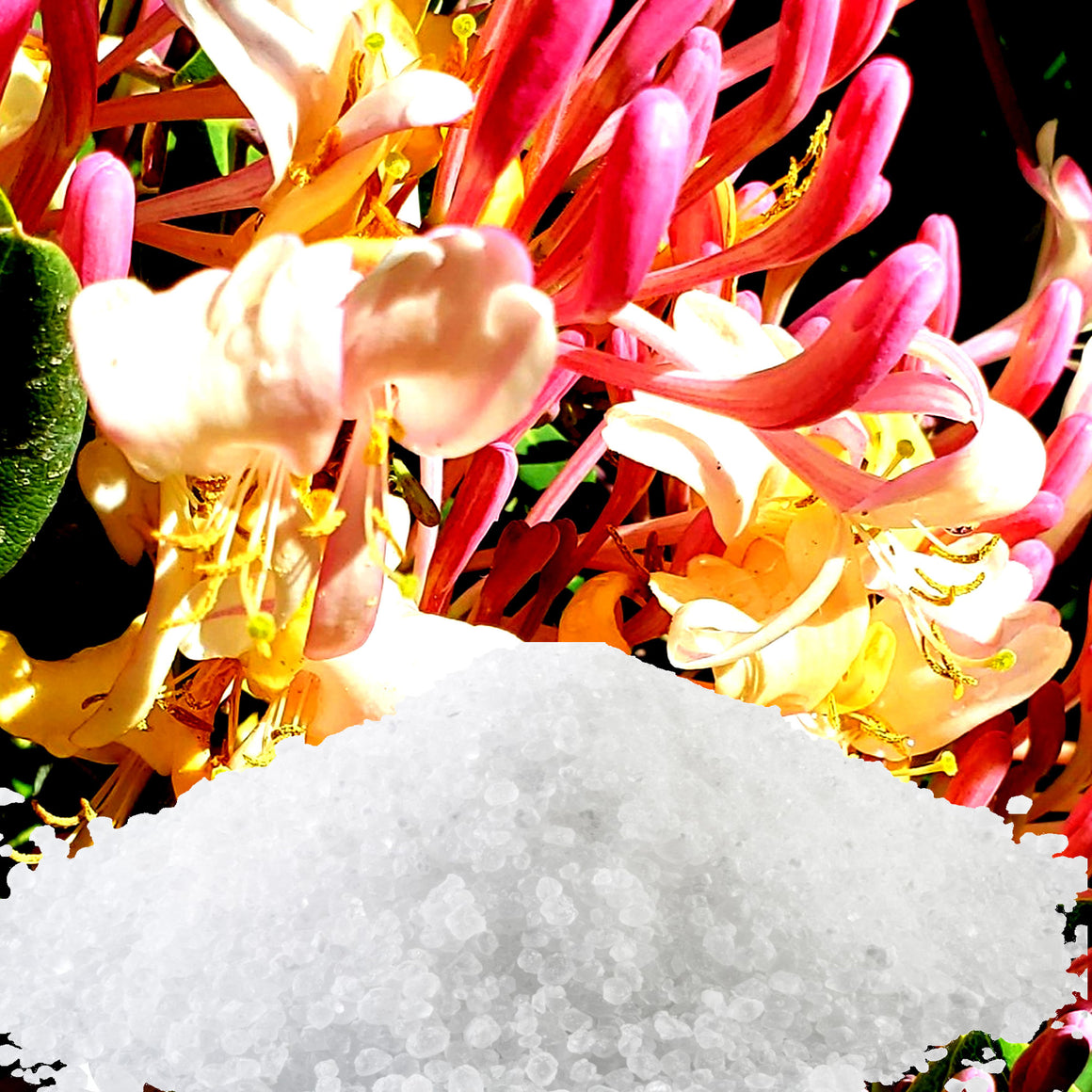 Honeysuckle Jasmine Bath Salts/Bath Soak/Bath Crystals