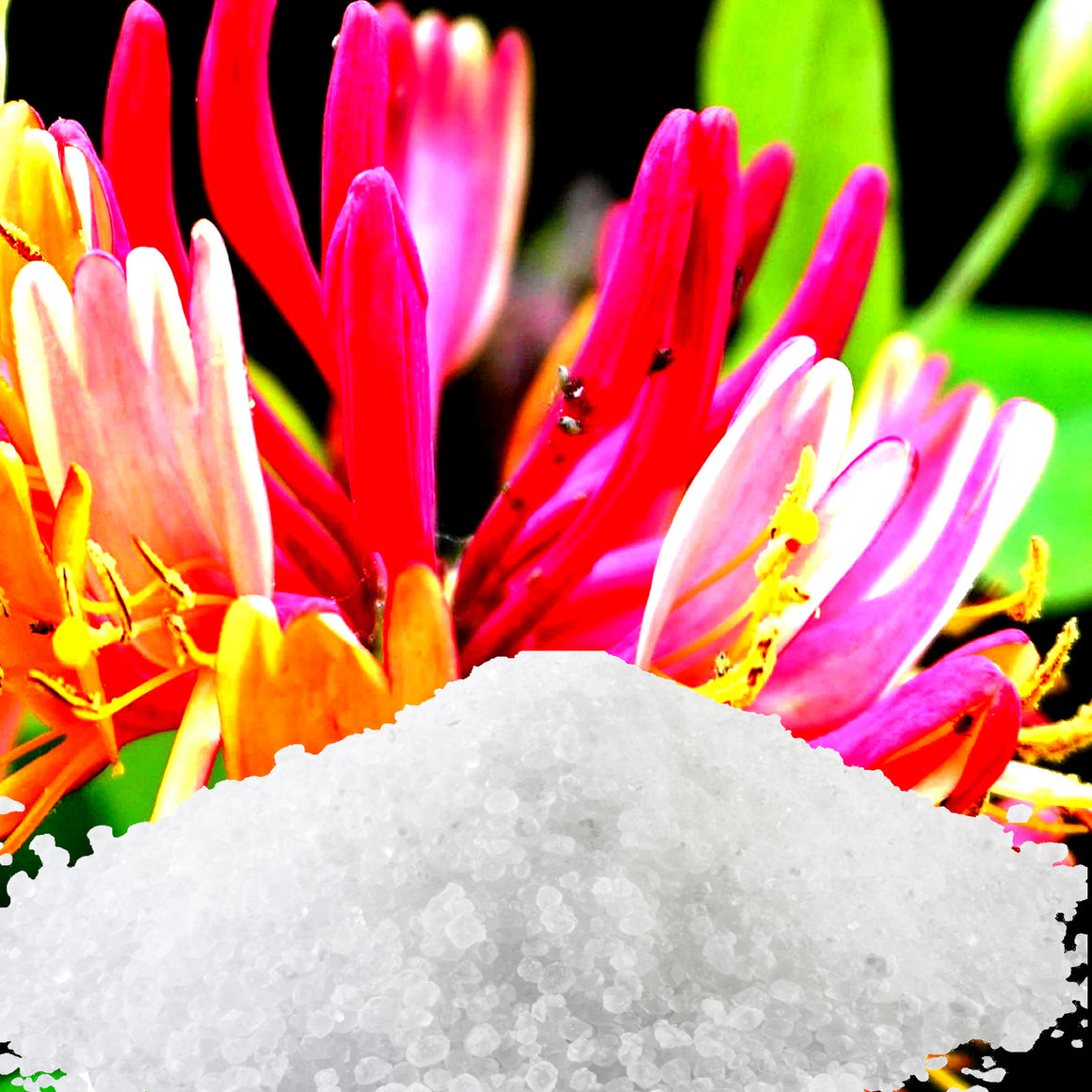 Japanese Honeysuckle Bath Salts/Bath Soak/Bath Crystals
