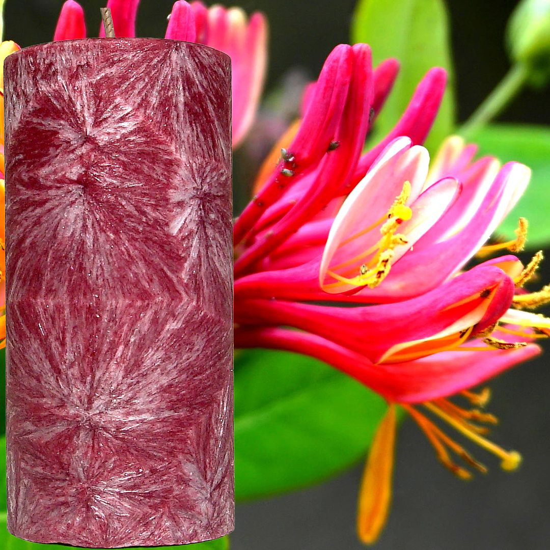 Japanese Honeysuckle Scented Palm Wax Pillar Candle