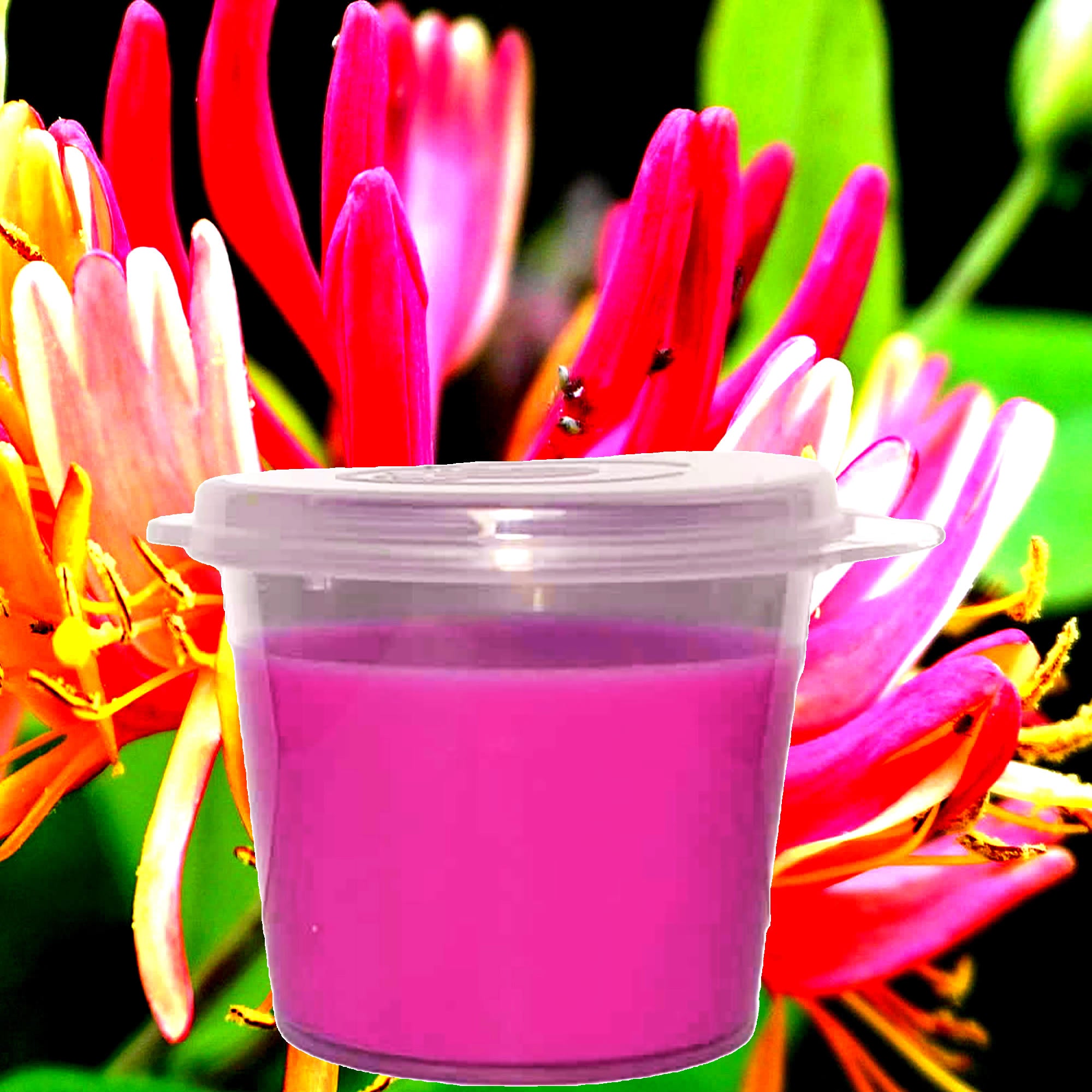 Japanese Honeysuckle Soy Candle Melt Shot Pots – Plant-Based, Vegan, Cruelty-Free, Hand-Poured
