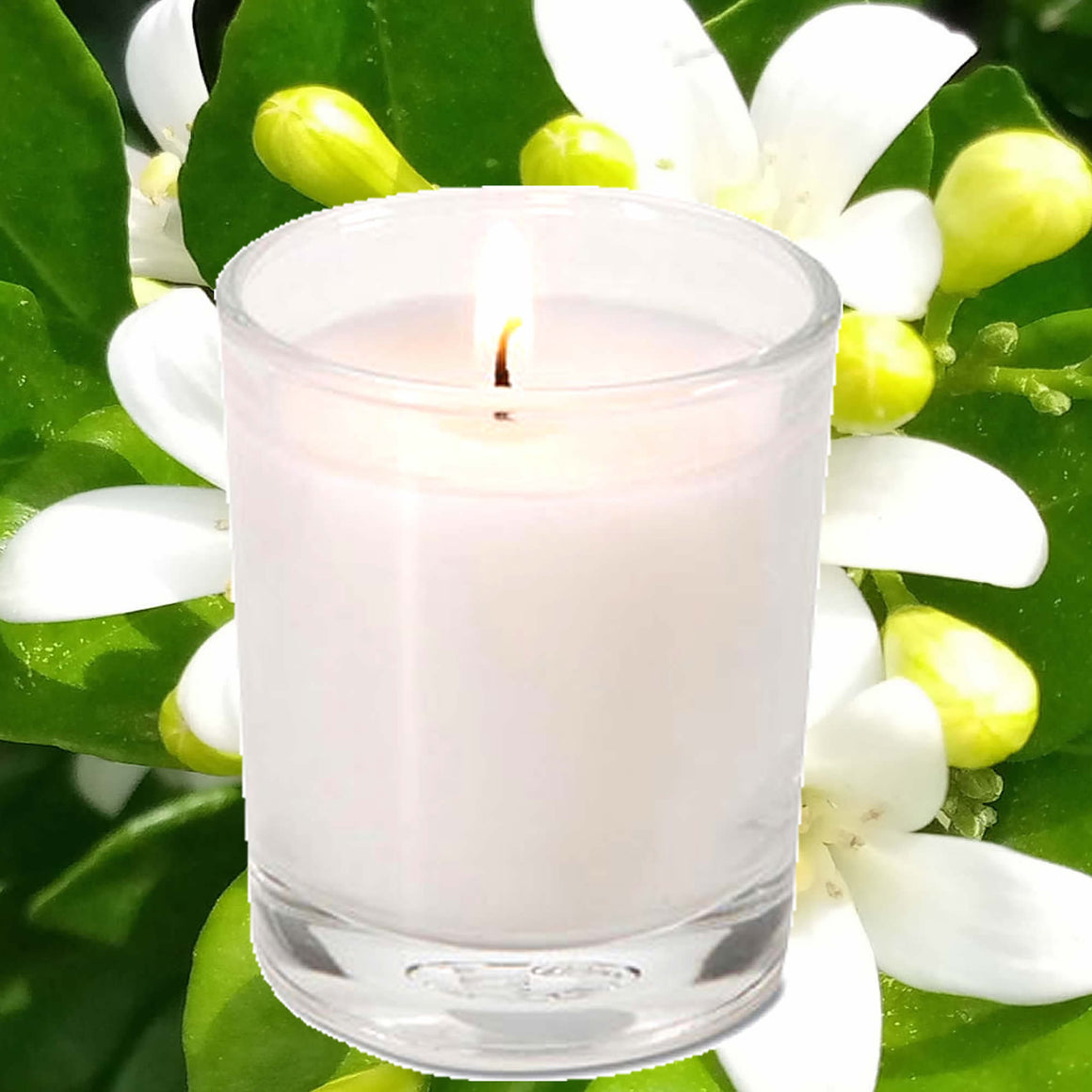 Jasmine Eco Soy Votive Candles – Clean Burn, Plant-Based, Vegan & Pet Safe