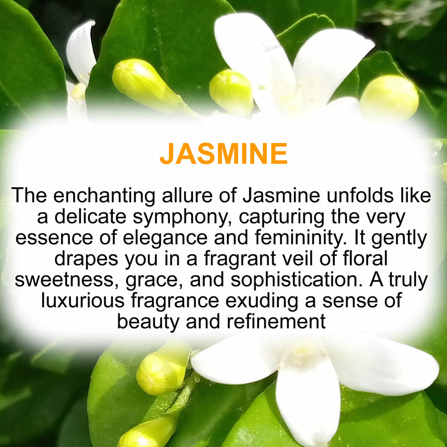 Jasmine Body & Hand Cream Vegan Cruelty-Free Moisturiser