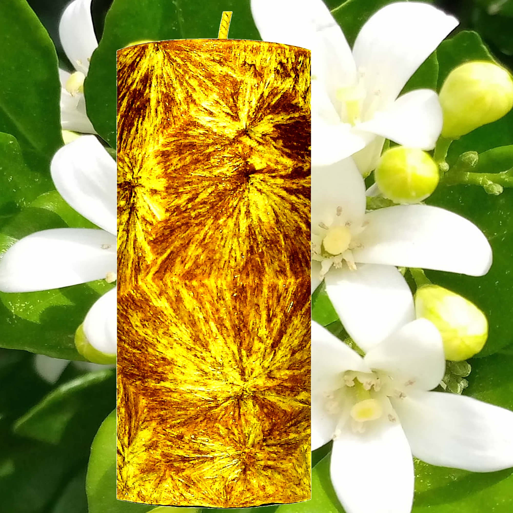 Jasmine Pillar Candle – Plant-Based, Eco-Friendly, Vegan, Cruelty Free