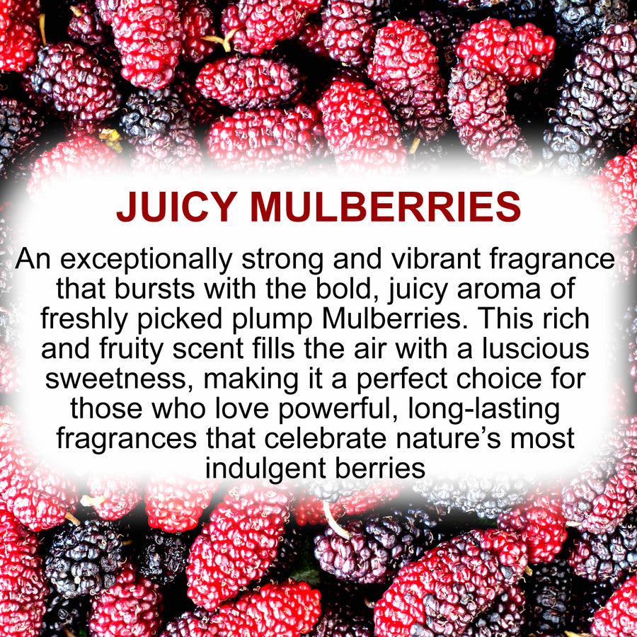 Juicy Mulberries Body Massage Oil – vegan, cruelty-free, plant-based hydrating oil with juicy plump mulberry fruit notes, handmade in Australia.