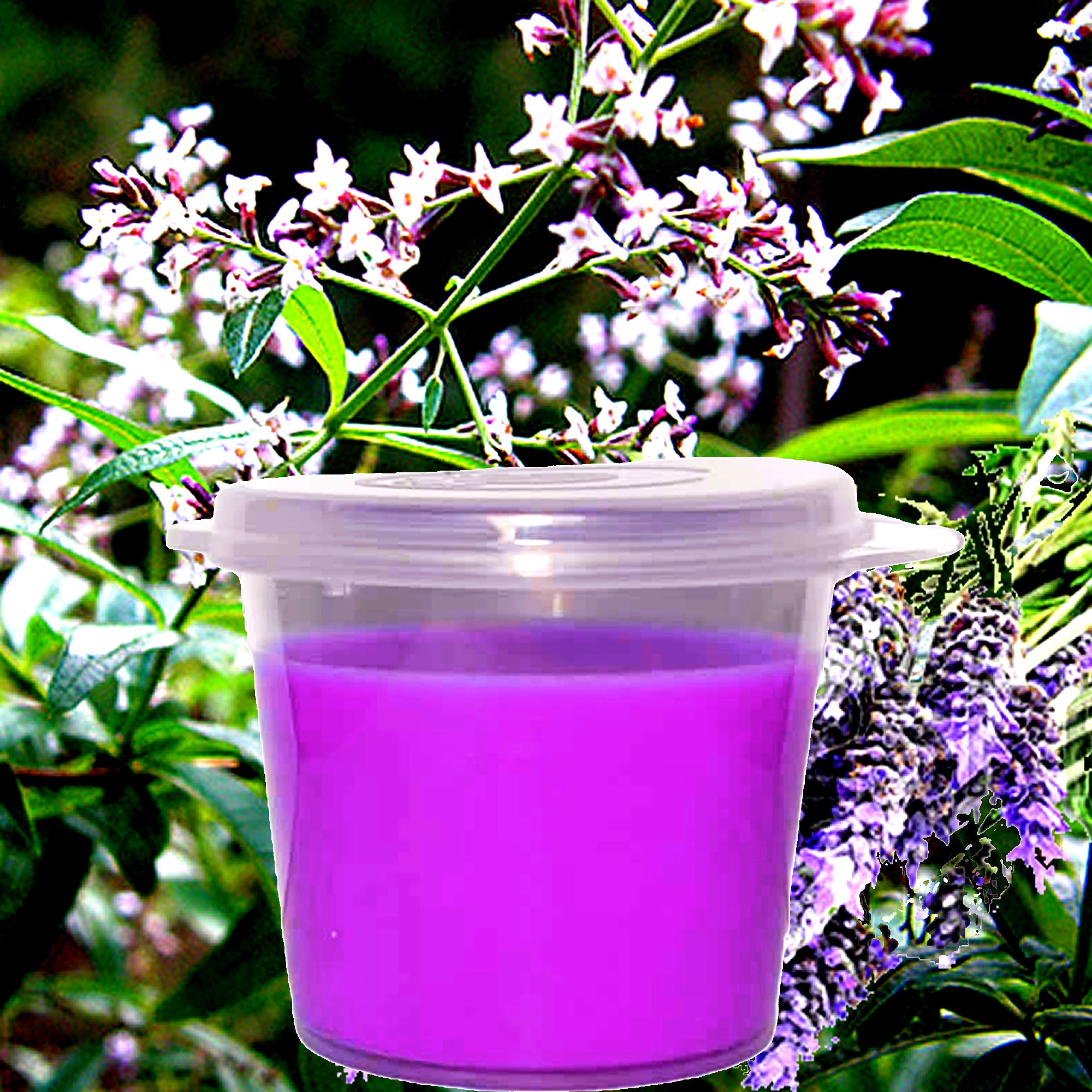 Lavender & Lemon Verbena eco soy wax melts – vegan, cruelty-free featuring fresh floral lavender and citrus floral lemon verbena, handmade in Australia.