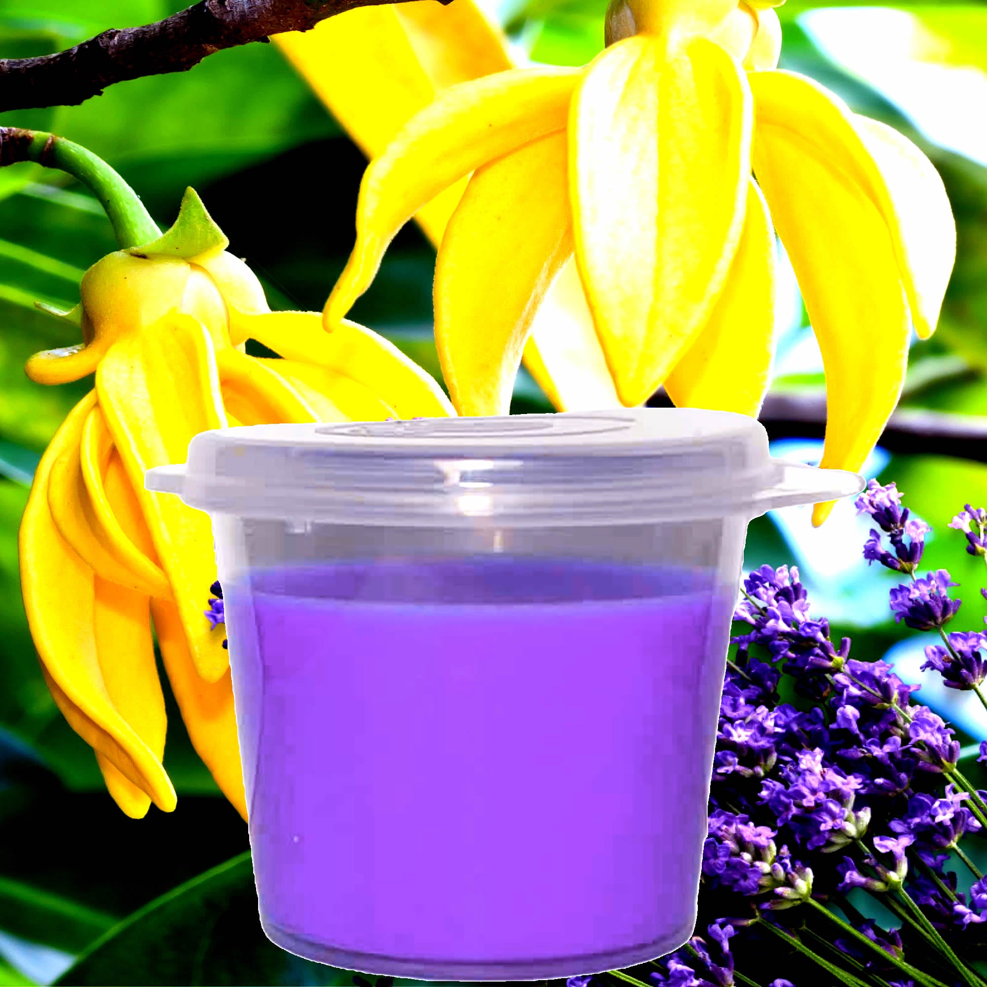 Lavender & Ylang Ylang eco soy wax melts – vegan, cruelty-free featuring floral lavender and sensual exotic ylang ylang, handmade in Australia.