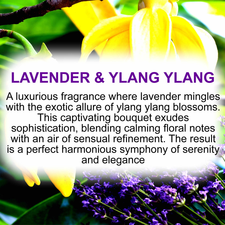 Lavender & Ylang Ylang Vegan Soap Bars Plant-Based Cruelty-Free Handcrafted