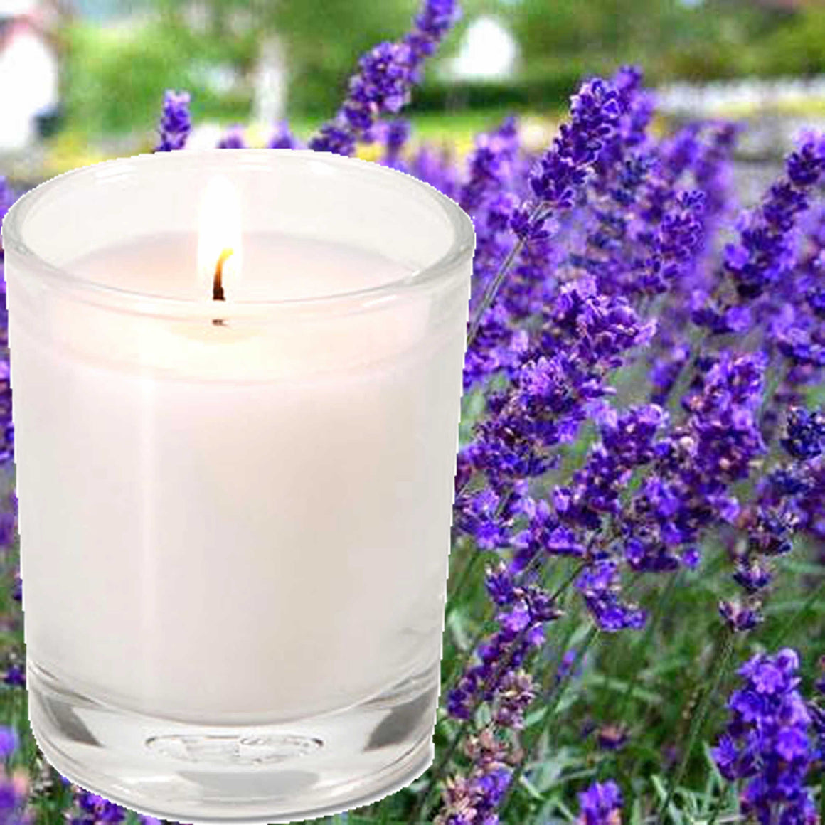 Lavender & Citronella Scented Eco Soy Votive Candles Hand Poured