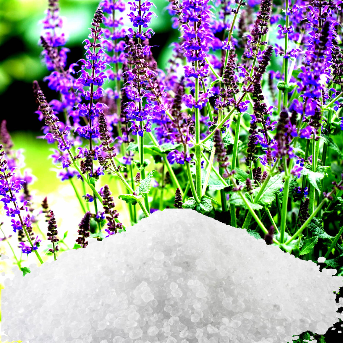 Lavender & Wild Sage Bath Salts/Bath Soak/Bath Crystals