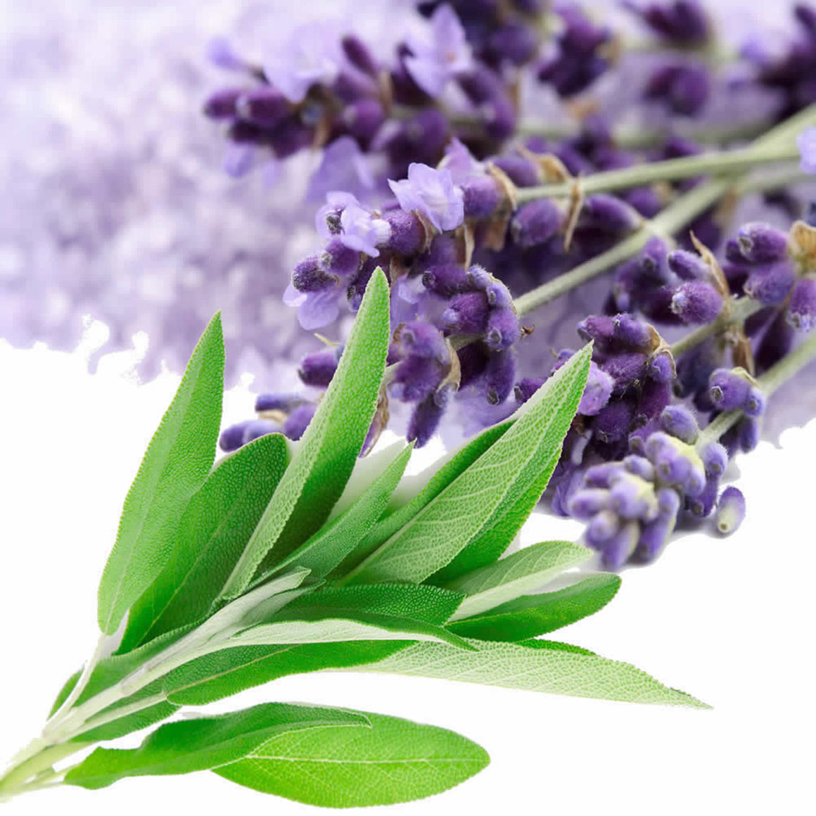 Lavender & Sage Candle Soap Making Fragrance Oil