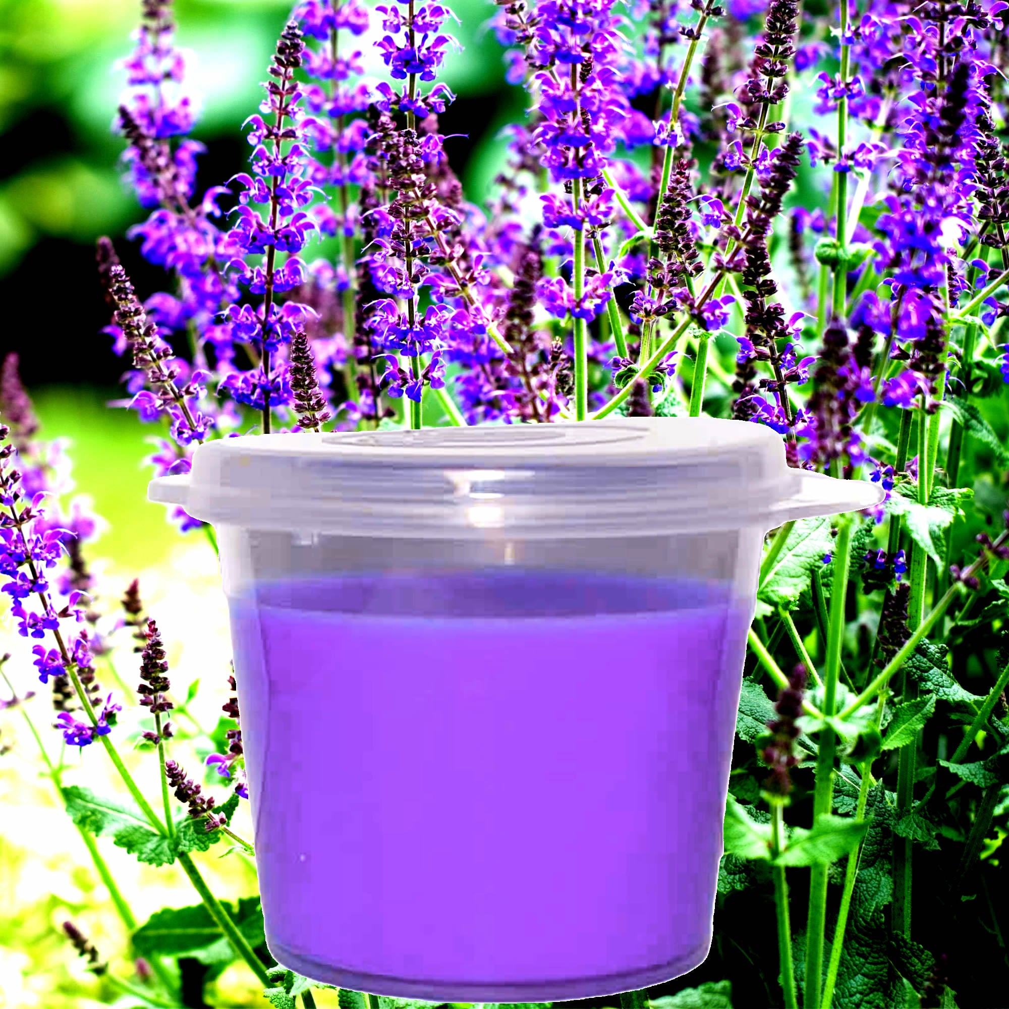Lavender & Wild Sage Soy Candle Melt Shot Pots – Plant-Based, Vegan, Cruelty-Free, Hand-Poured