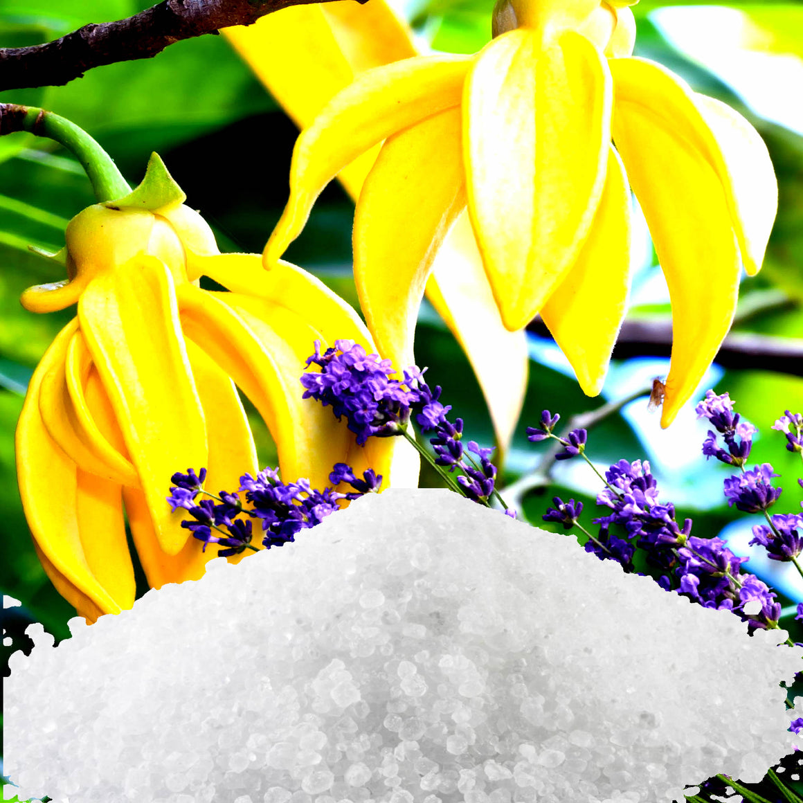 Lavender & Ylang Ylang Bath Salts/Bath Soak/Bath Crystals