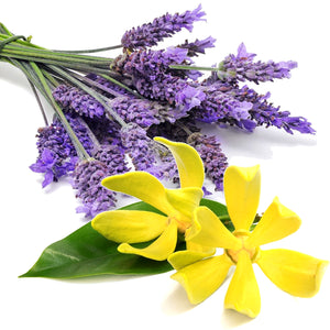 Lavender & Ylang Ylang Candle Soap Making Fragrance Oil