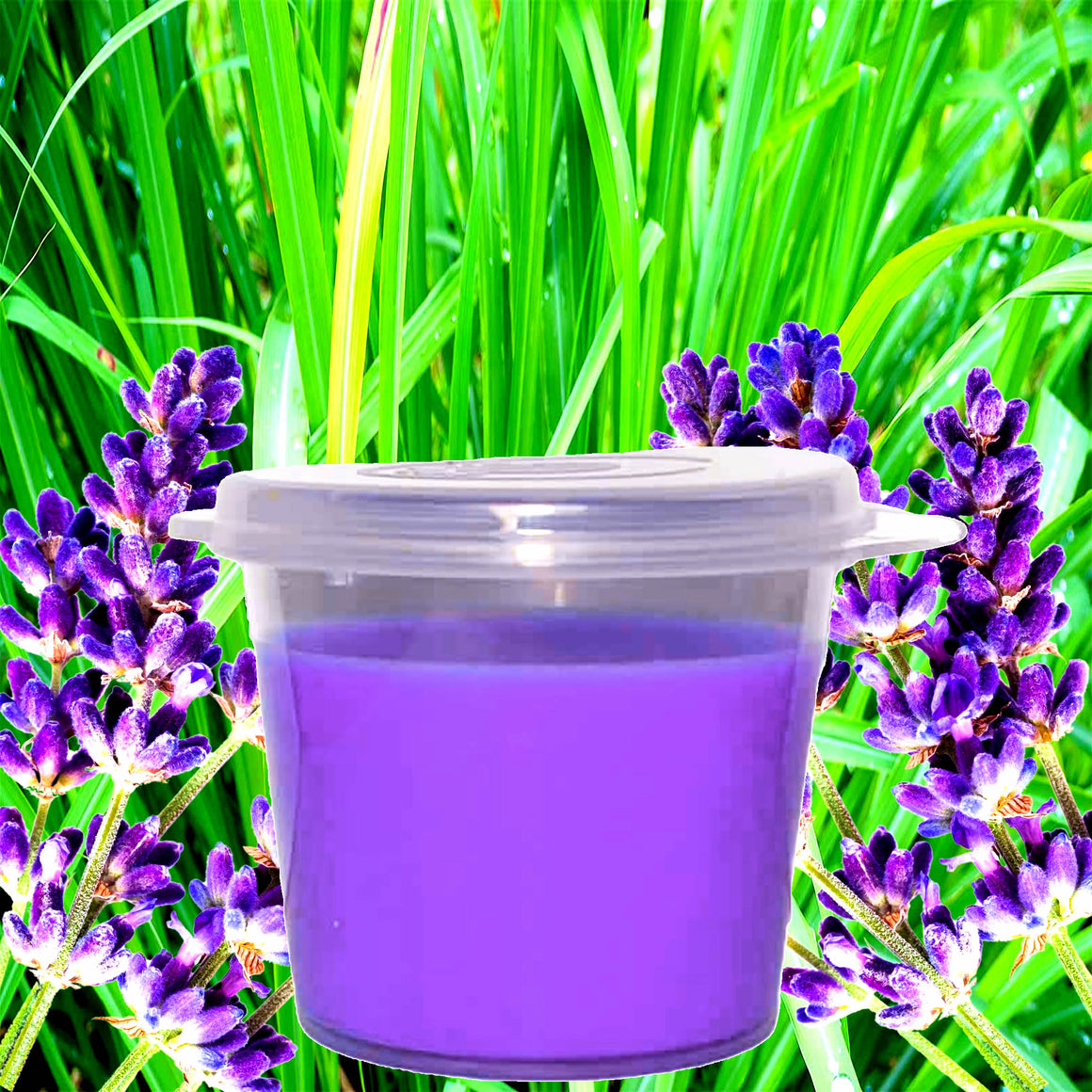 Lavender & Citronella Soy Candle Melt Shot Pots – Plant-Based, Vegan, Cruelty-Free, Hand-Poured