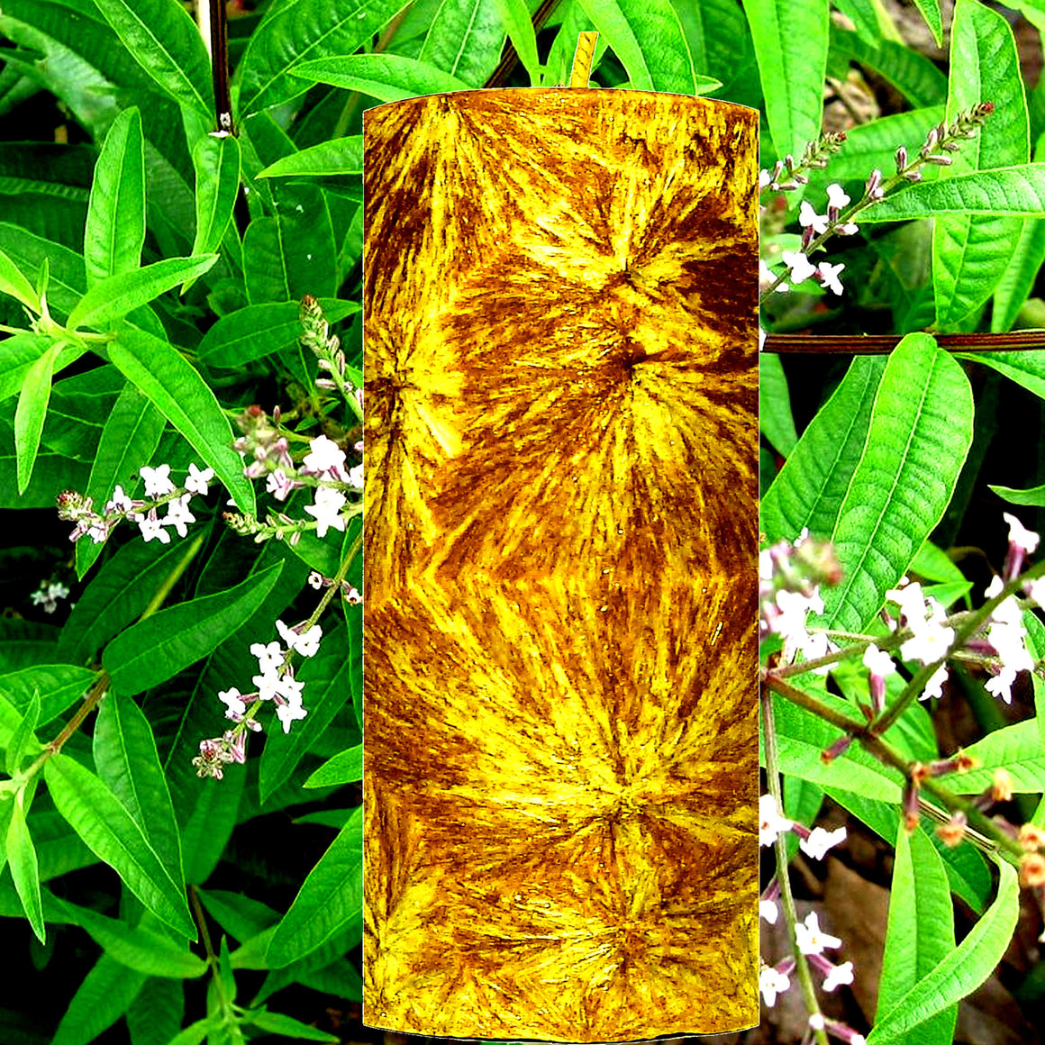 Lemon Verbena Pillar Candle – Plant-Based, Eco-Friendly, Vegan, Cruelty Free