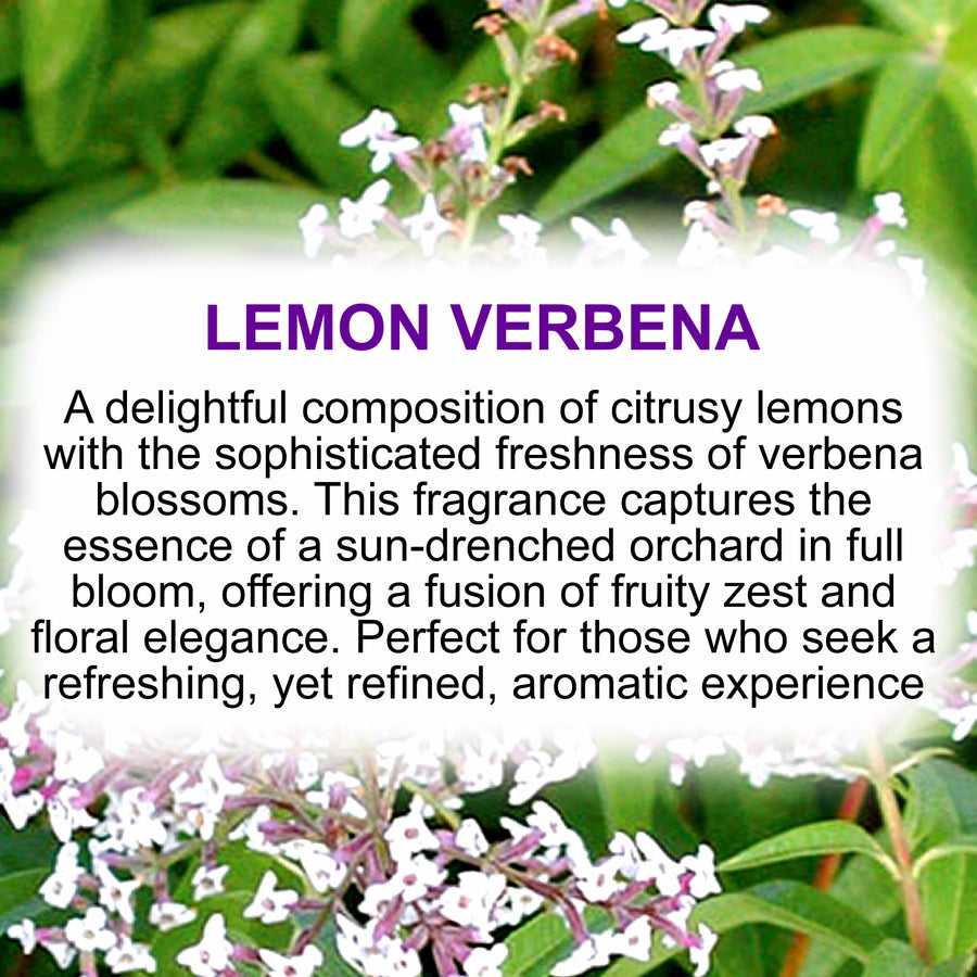 Lemon Verbena Air Freshener Aroma Beads - Room, Car, Pantry, Pet Areas, Linen