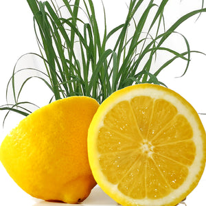 Lemon Citronella Candle Soap Making Fragrance Oil