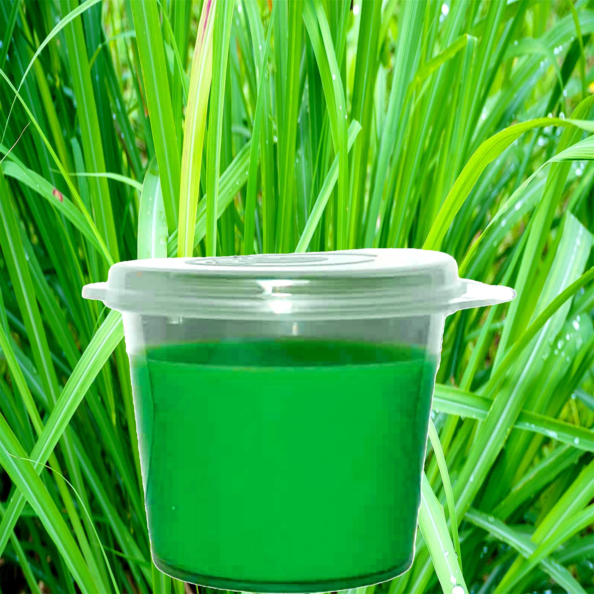 Lemongrass Citronella eco soy wax melts – vegan, cruelty-free featuring citrus lemongrass and crisp citronella, handmade in Australia.