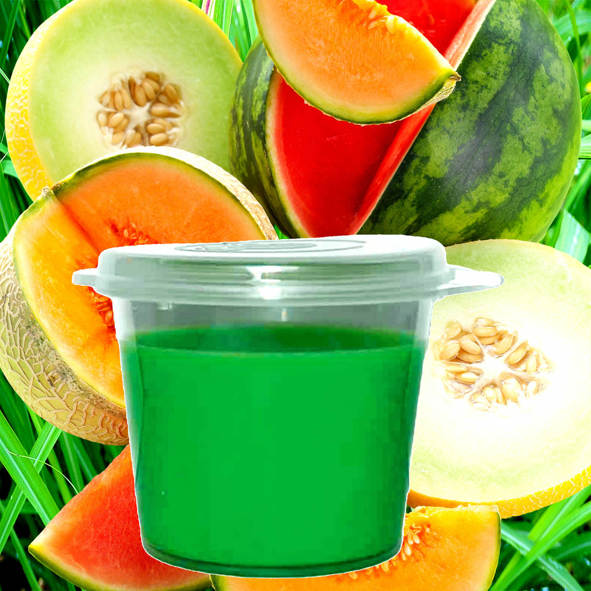 Lemongrass & Wild Melons Soy Candle Melt Shot Pots – Plant-Based, Vegan, Cruelty-Free, Hand-Poured