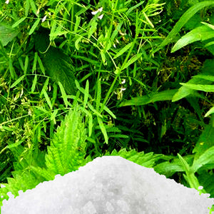 Lemongrass & Wild Mint Bath Salts/Bath Soak/Bath Crystals