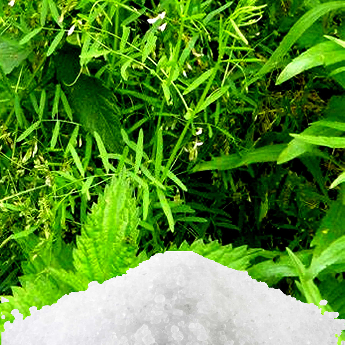 Lemongrass & Wild Mint Vegan bath salts and bath soak crystals, cruelty-free and made in Australia. Highly scented, suitable for women and men. Perfect relaxation gift for him or her.