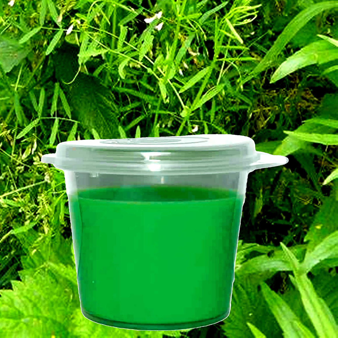 Lemongrass & Wild Mint Soy Candle Melt Shot Pots – Plant-Based, Vegan, Cruelty-Free, Hand-Poured