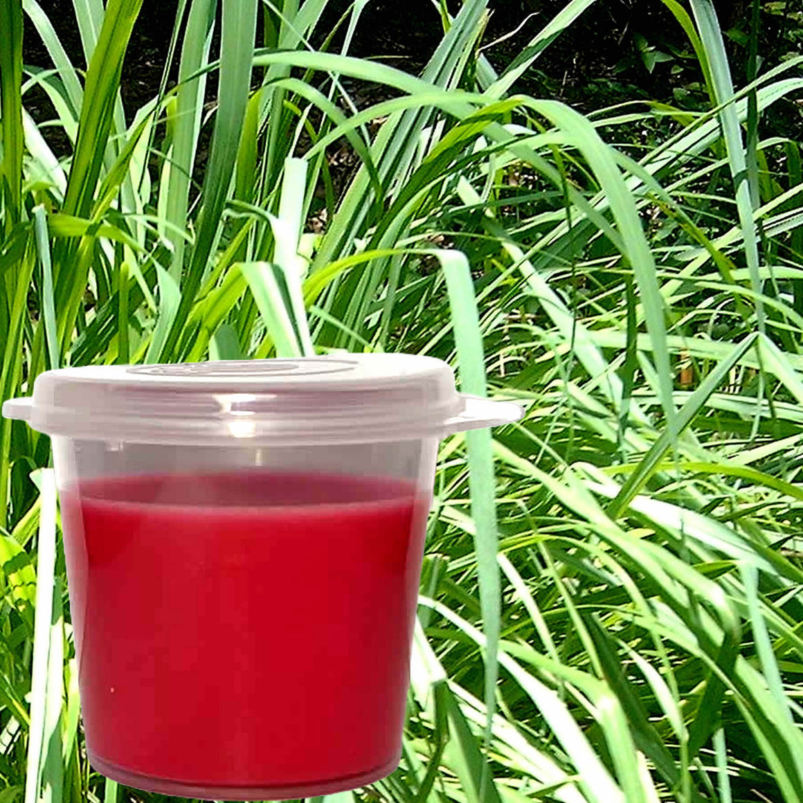 Lemongrass Citronella Eco Soy Shot Pot Candle Melts