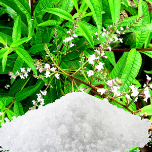 Lemon Verbena Bath Salts/Bath Soak/Bath Crystals