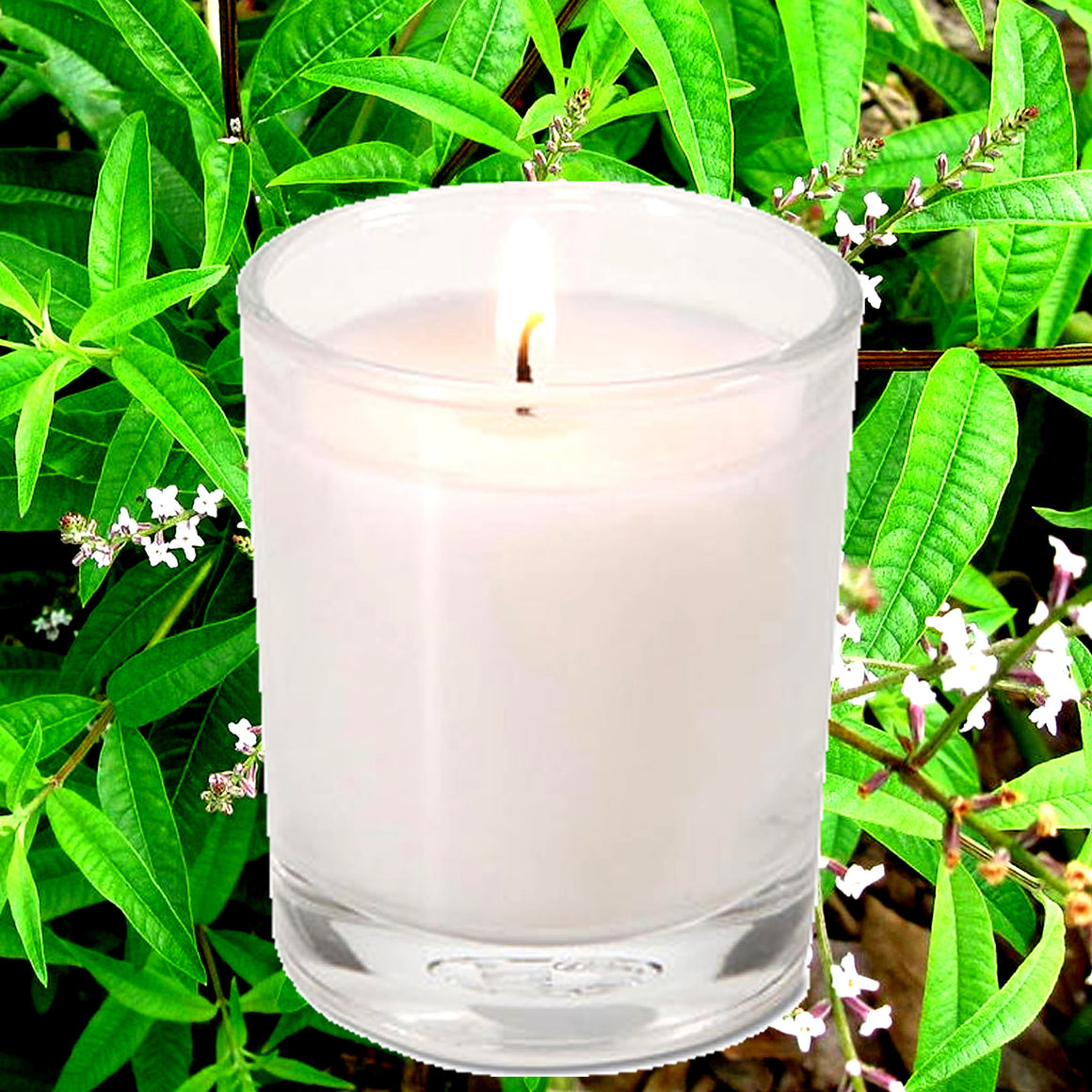 Lemon Verbena Eco Soy Votive Candles – Clean Burn, Plant-Based, Vegan & Pet Safe