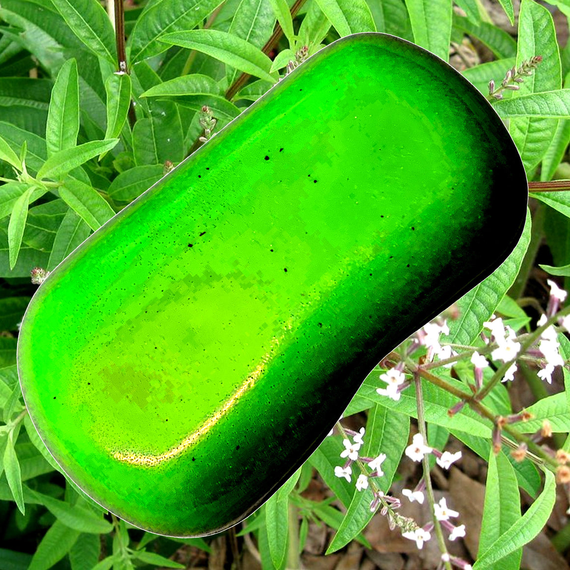 Lemon Verbena Vegan Soap Bars Plant-Based Cruelty-Free Handcrafted