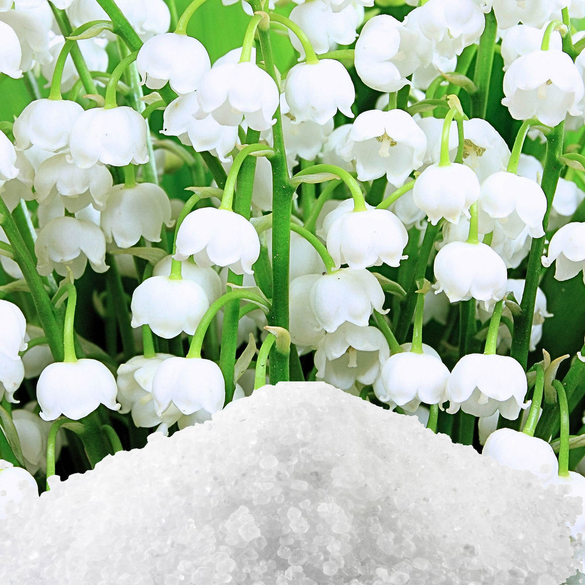Lily Of The Valley Bath Salts/Bath Soak/Bath Crystals