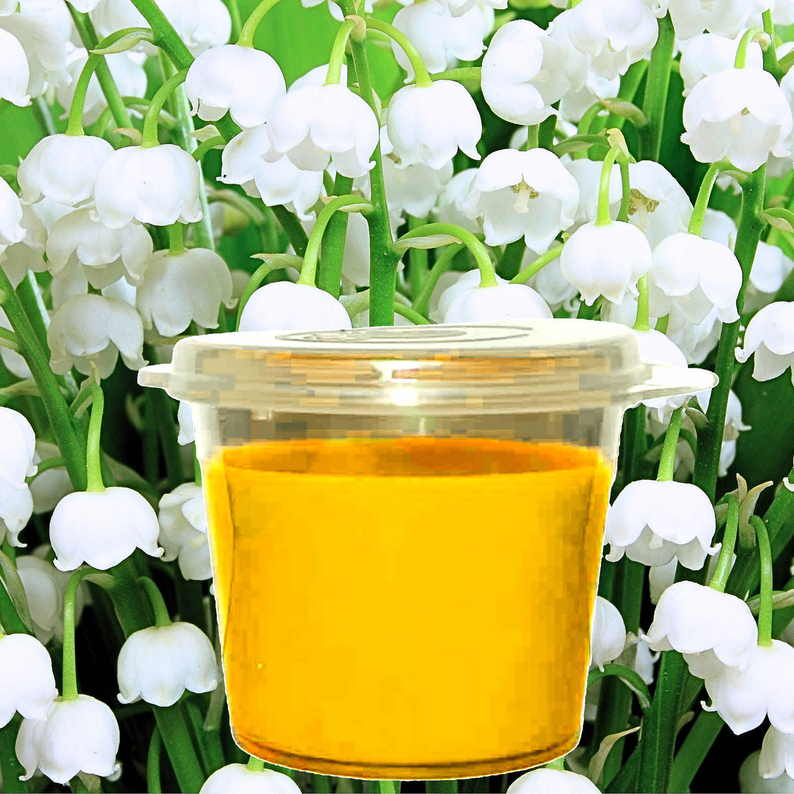 Lily Of The Valley Soy Candle Melt Shot Pots – Plant-Based, Vegan, Cruelty-Free, Hand-Poured