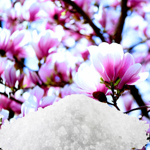 Magnolia Bath Salts/Bath Soak/Bath Crystals