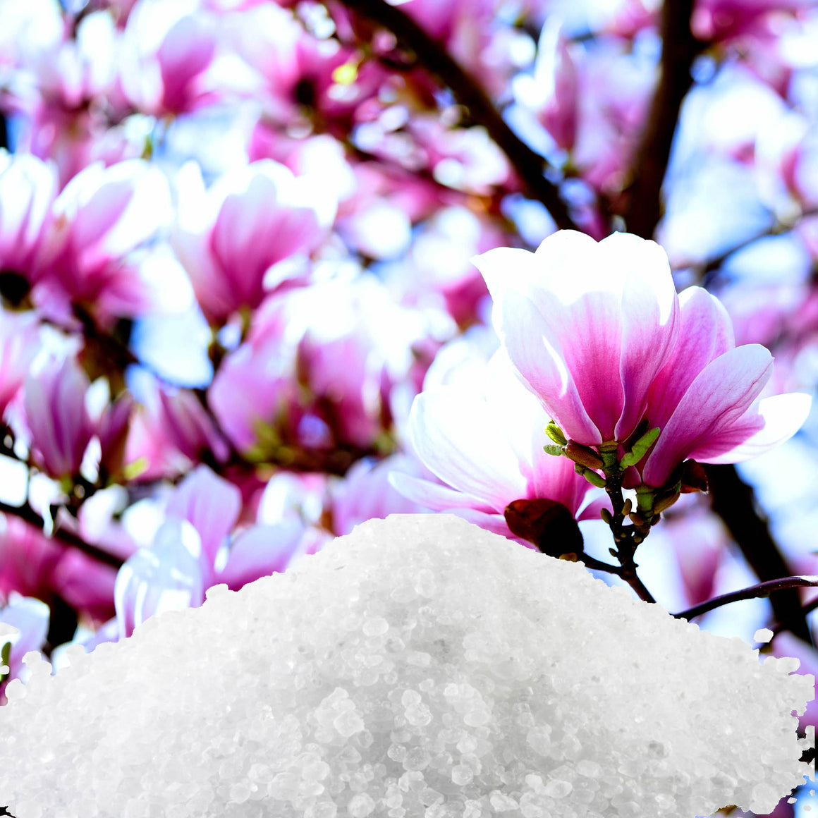 Magnolia Bath Salts/Bath Soak/Bath Crystals