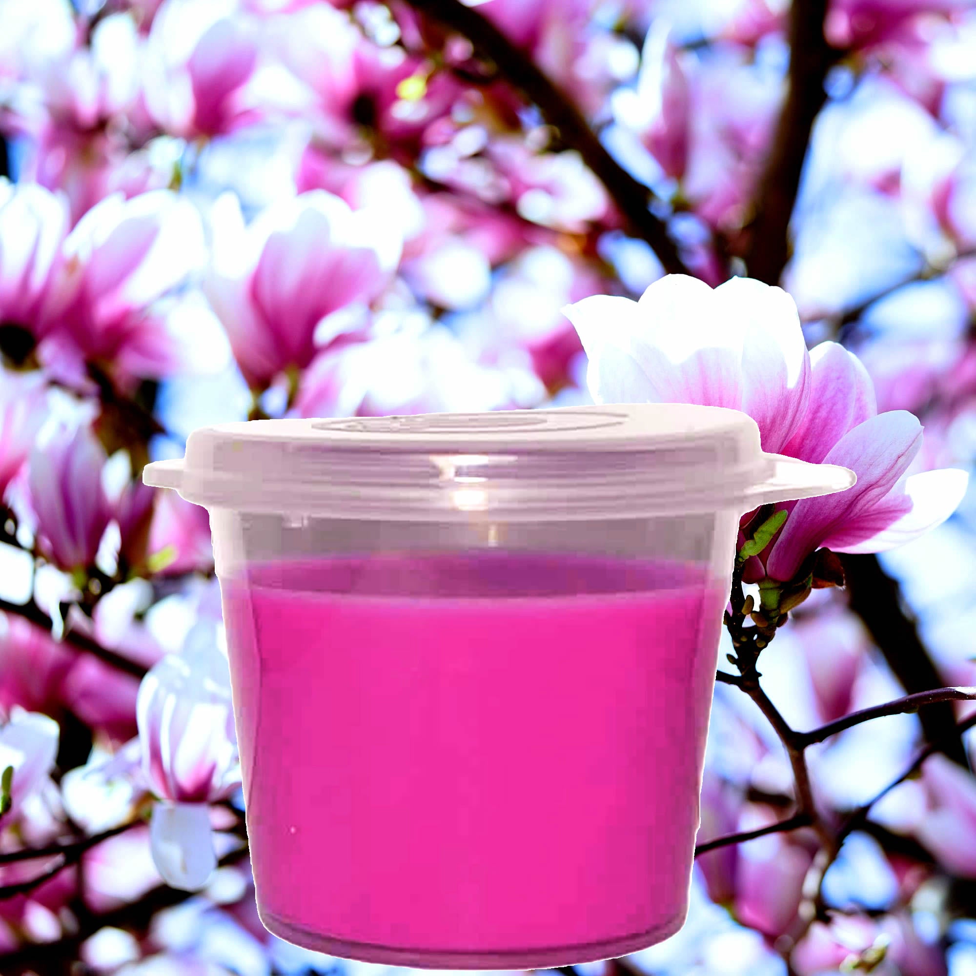 Magnolia Soy Candle Melt Shot Pots – Plant-Based, Vegan, Cruelty-Free, Hand-Poured