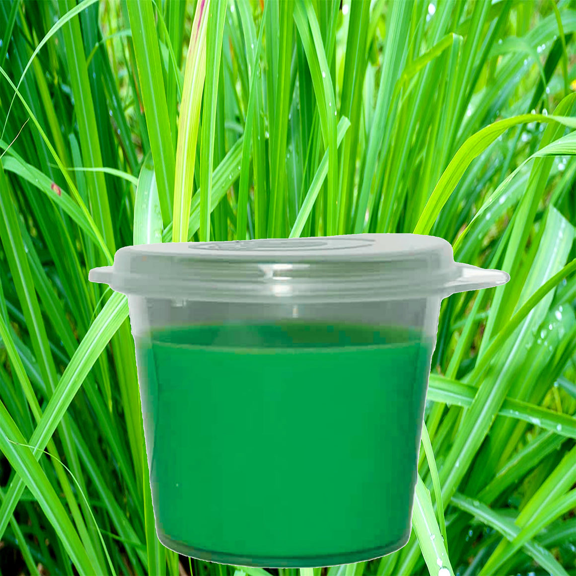 Natural Citronella eco soy wax melts – vegan, cruelty-free featuring crisp fresh citronella, handmade in Australia.