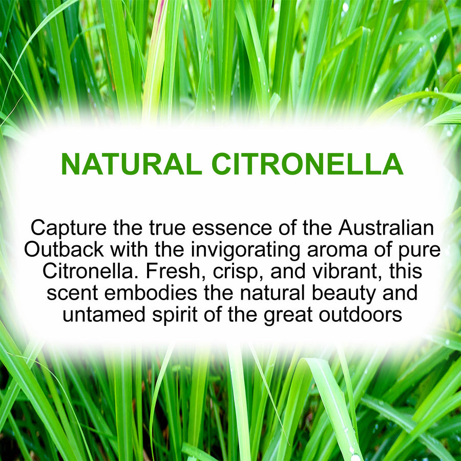 Natural Citronella Soy Wax Melts – Hand-Poured, Plant-Based & Vegan