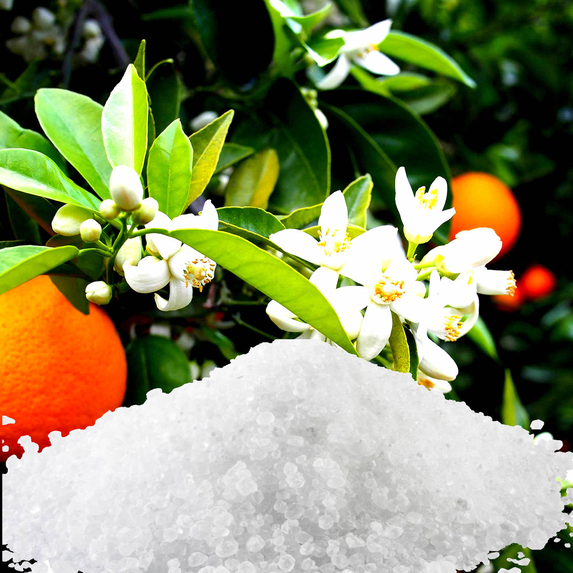 Neroli Blossoms Bath Salts/Bath Soak/Bath Crystals